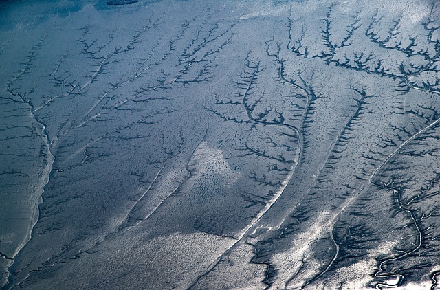 Komu należy dać napiwek? Komu należy dać napiwek?