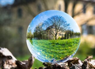 Co grozi za posiadanie wagi?