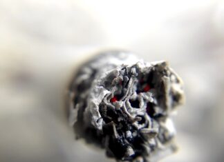 Co grozi za 100 gram marihuany?