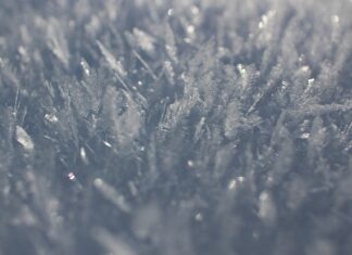 Czy lepszy jest Low Frost czy No Frost? Czy lepszy jest Low Frost czy No Frost?