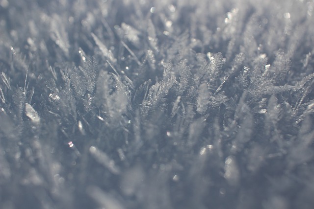 Czy lepszy jest Low Frost czy No Frost? Czy lepszy jest Low Frost czy No Frost?