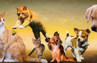 Co powinno być w nagłówku paragonu?