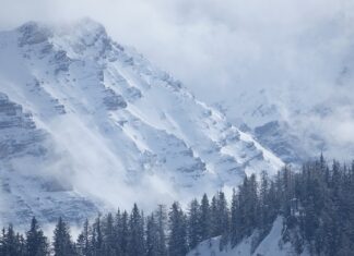 Ile trwa przegląd kasy?
