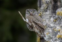 Od jakiej kwoty bank sprawdza pochodzenie pieniędzy?