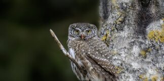 Od jakiej kwoty bank sprawdza pochodzenie pieniędzy?