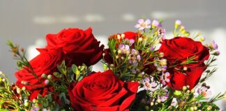 Ile kosztuje najdroższy wózek?