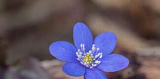 Co powoduje przyrost wagi?