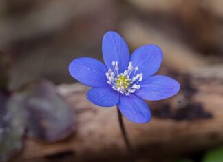 Co powoduje przyrost wagi?