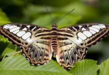 Jakie są narzędzia do strzyżenia włosów? Jakie są narzędzia do strzyżenia włosów?