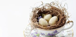 Ile kosztuje odnowienie uprawnień na wózki widłowe?