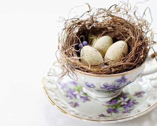 Ile kosztuje odnowienie uprawnień na wózki widłowe?