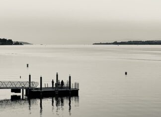 Co jest najlepsze do popijania wódki?