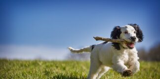 Jak odzyskać 700 zł za kasę fiskalną?