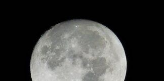 Czym napędzane są wózki widłowe?