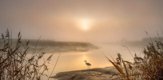 Jak wyczyścić zatkany odpływ w zmywarce?