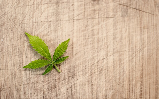 Ile trwa legalizacja? Ile trwa legalizacja?