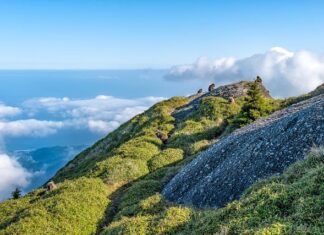 Co to jest płyta MDF? Co to jest płyta MDF?