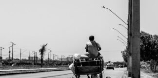 Do czego służą wózki transportowe?