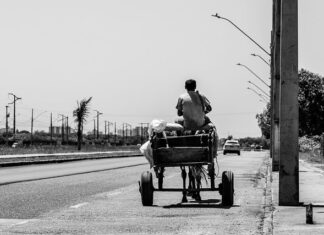 Do czego służą wózki transportowe?