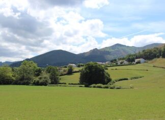 Czy telefonem można zrobić skan dokumentu?