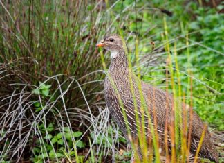 Co oznacza 2 na kodzie kreskowym?