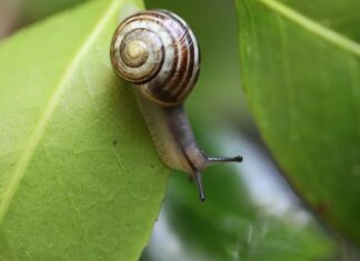 Gdzie znajduje się czujnik temperatury w lodówce? Gdzie znajduje się czujnik temperatury w lodówce?