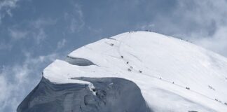 Co to jest seria zastępcza?