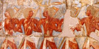 Jak wykazać zwrot ulgi na kasę fiskalną?