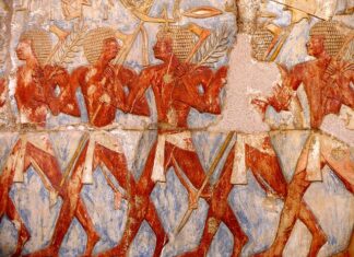 Jak wykazać zwrot ulgi na kasę fiskalną?