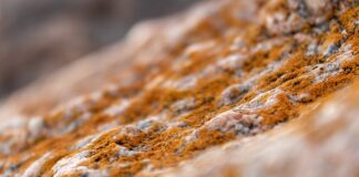 Czy forma płatności musi być na paragonie?