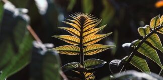 Czy opłaca się otworzyć zakład fryzjerski?