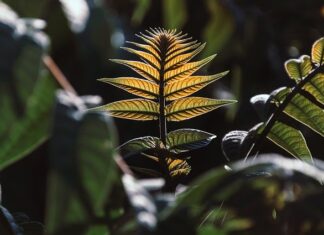 Czy opłaca się otworzyć zakład fryzjerski? Czy opłaca się otworzyć zakład fryzjerski?