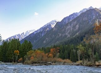 Jak zrobić etykietę z kodem kreskowym?