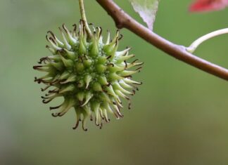 Ile kosztuje likwidacja kasy fiskalnej? Ile kosztuje likwidacja kasy fiskalnej?