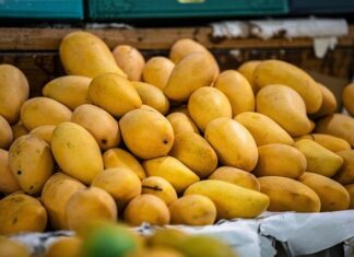 Jaki sok pasuje do wódki Mango? Jaki sok pasuje do wódki Mango?
