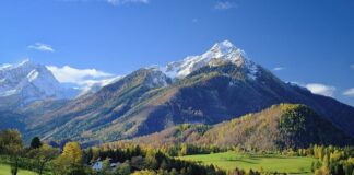 Jakie modne kolory ścian 2023?