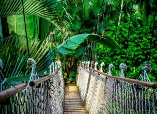 Ile trwa kurs i Wjo?