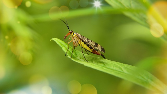 Co to jest Total No Frost? Co to jest Total No Frost?