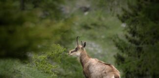 Ile jest warte 10 zł z 1982 roku?