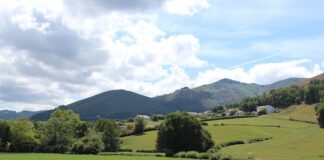 Jak zrobić skan kodu kreskowego?