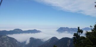 Ile pracownik może dźwigać dziennie?