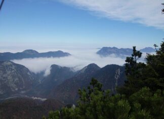 Ile pracownik może dźwigać dziennie?