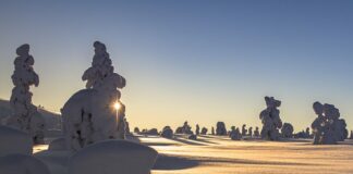 Jak obliczyć obciążenie półki regału?