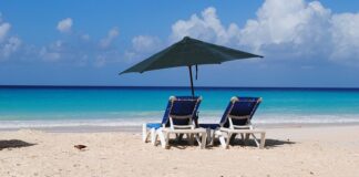 Jak się jeździ Paleciakiem?