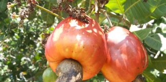 Czy salon fryzjerski musi mieć zaplecze?