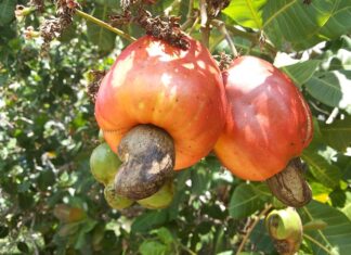 Czy salon fryzjerski musi mieć zaplecze? Czy salon fryzjerski musi mieć zaplecze?