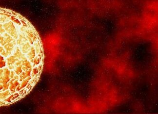 Ile kosztuje osocze na twarz?