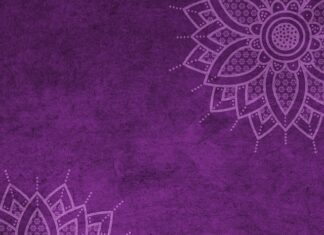 Ile wynosi mandat za brak paragonu? Ile wynosi mandat za brak paragonu?