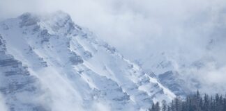 Ile można się spóźnić z przeglądem kasy fiskalnej?