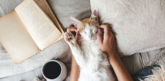 bezzbożowe karmy dla kotów